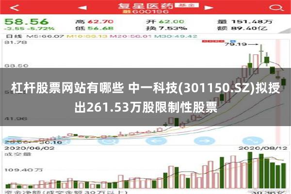 杠杆股票网站有哪些 中一科技(301150.SZ)拟授出261.53万股限制性股票