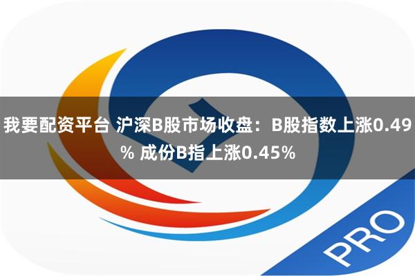 我要配资平台 沪深B股市场收盘：B股指数上涨0.49% 成份B指上涨0.45%