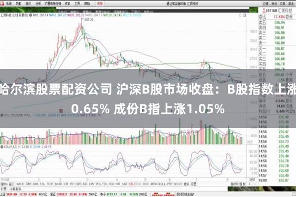 哈尔滨股票配资公司 沪深B股市场收盘：B股指数上涨0.65% 成份B指上涨1.05%