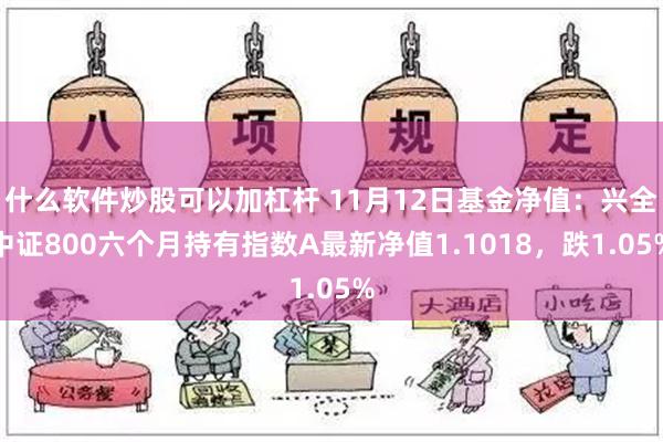 什么软件炒股可以加杠杆 11月12日基金净值：兴全中证800六个月持有指数A最新净值1.1018，跌1.05%