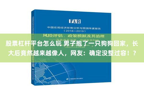 股票杠杆平台怎么玩 男子抱了一只狗狗回家，长大后竟然越来越像人，网友：确定没整过容！？