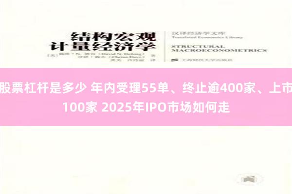 股票杠杆是多少 年内受理55单、终止逾400家、上市100家 2025年IPO市场如何走