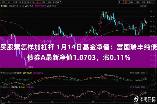 买股票怎样加杠杆 1月14日基金净值：富国瑞丰纯债债券A最新净值1.0703，涨0.11%